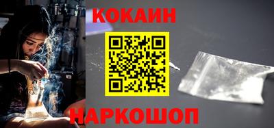гашик Кингисепп