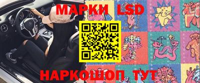 гашик Кингисепп