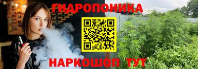 крисы Кимры