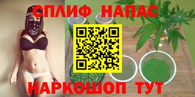гашик Кингисепп