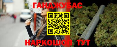 гашик Кингисепп